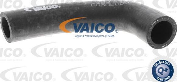 VAICO V30-3140 - Radiator şlanqı furqanavto.az