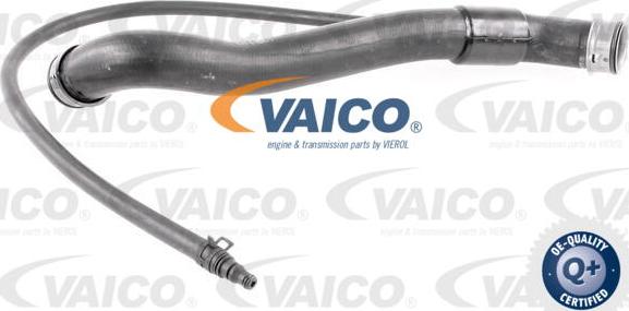 VAICO V30-3142 - Radiator şlanqı furqanavto.az