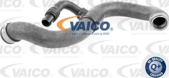 VAICO V30-2968 - Radiator şlanqı furqanavto.az