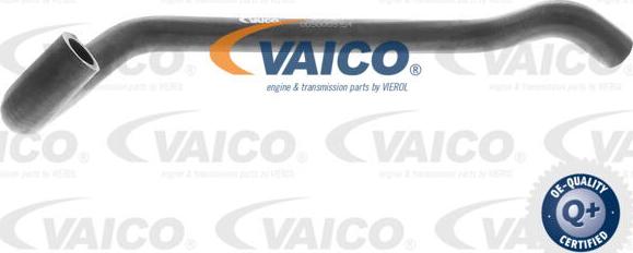 VAICO V30-2967 - Radiator şlanqı furqanavto.az