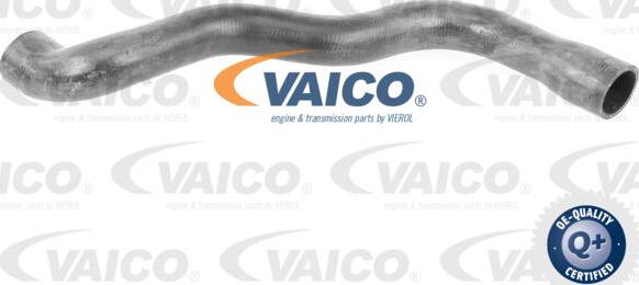 VAICO V30-2915 - Radiator şlanqı furqanavto.az