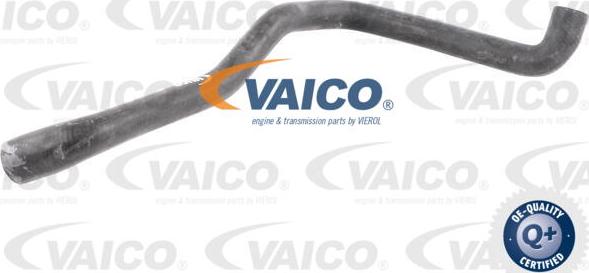 VAICO V30-2685 - Radiator şlanqı furqanavto.az