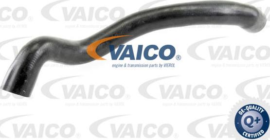 VAICO V30-2686 - Radiator şlanqı www.furqanavto.az