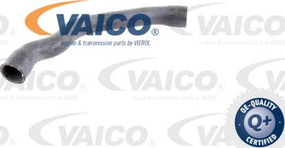 VAICO V30-2099 - Radiator şlanqı furqanavto.az
