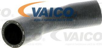 VAICO V30-2055 - Radiator şlanqı www.furqanavto.az