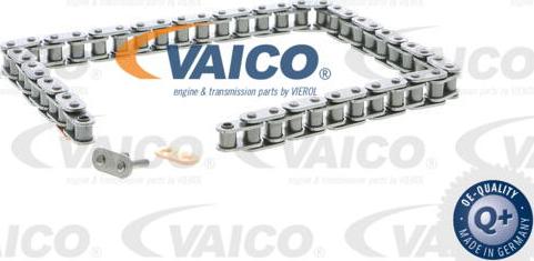VAICO V30-2319 - Vaxt zənciri www.furqanavto.az
