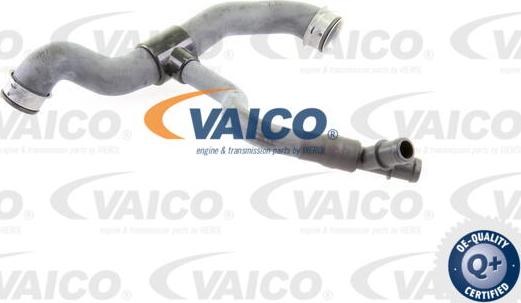 VAICO V30-2231 - Radiator şlanqı furqanavto.az