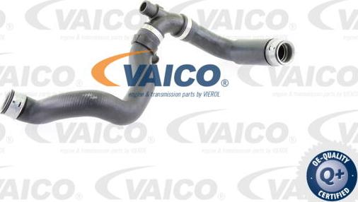 VAICO V30-2233 - Radiator şlanqı furqanavto.az