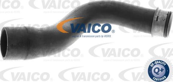 VAICO V30-2237 - Radiator şlanqı furqanavto.az