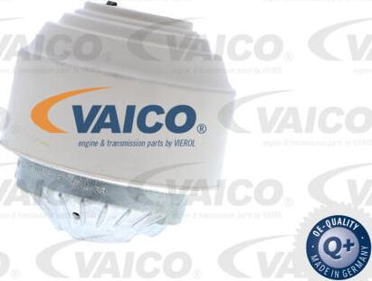 VAICO V30-7388 - Tutacaq, mühərrik montajı furqanavto.az