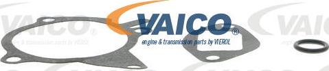 VAICO V32-50013 - Su nasosu furqanavto.az