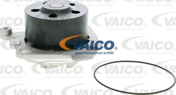 VAICO V24-50010 - Su nasosu furqanavto.az