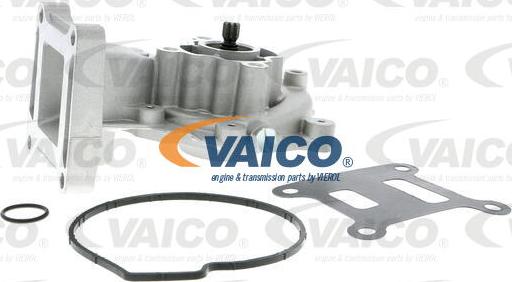 VAICO V25-50014 - Su nasosu furqanavto.az