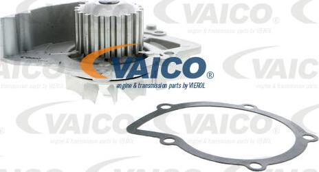 VAICO V25-50016 - Su nasosu furqanavto.az