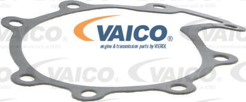 VAICO V25-50012 - Su nasosu furqanavto.az