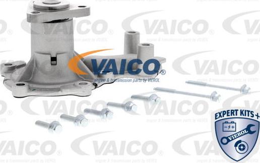 VAICO V25-50029 - Su nasosu furqanavto.az