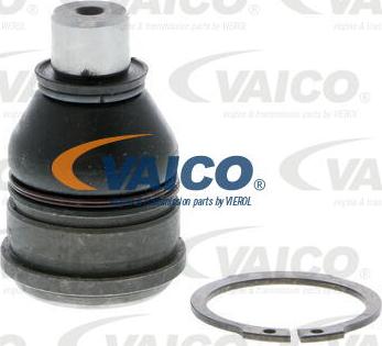 VAICO V25-0222 - Nəzarət Kolu / Arxa Qol furqanavto.az