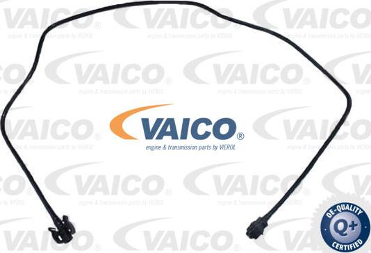 VAICO V25-2562 - Radiator şlanqı furqanavto.az