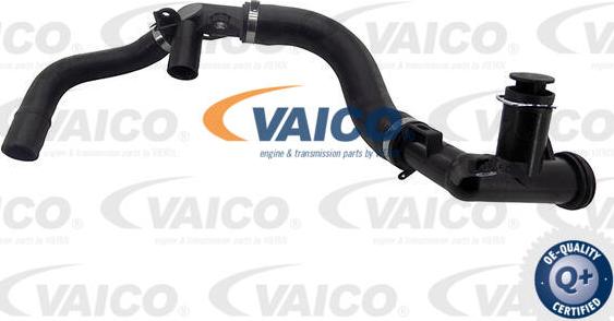 VAICO V25-2335 - Radiator şlanqı furqanavto.az