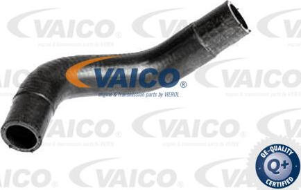 VAICO V25-2321 - Radiator şlanqı www.furqanavto.az