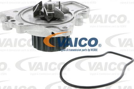 VAICO V26-50015 - Su nasosu furqanavto.az