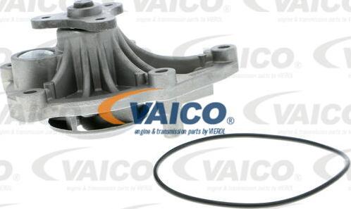 VAICO V20-50045 - Su nasosu furqanavto.az