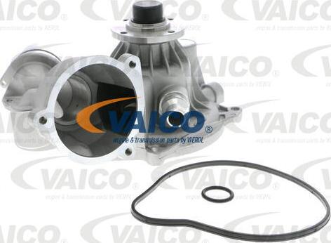 VAICO V20-50042 - Su nasosu furqanavto.az