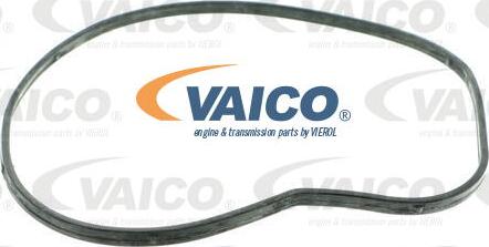 VAICO V20-50052 - Su nasosu furqanavto.az