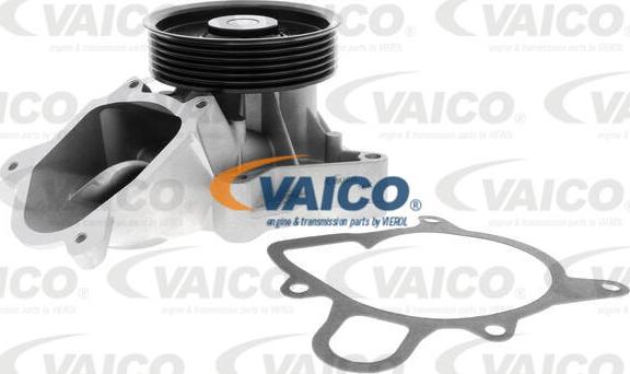 VAICO V20-50061 - Su nasosu furqanavto.az