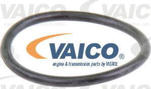 VAICO V20-50015 - Su nasosu furqanavto.az