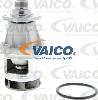 VAICO V20-50013 - Su nasosu furqanavto.az