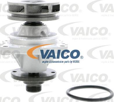 VAICO V20-50012 - Su nasosu furqanavto.az