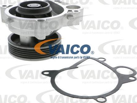 VAICO V20-50033 - Su nasosu furqanavto.az