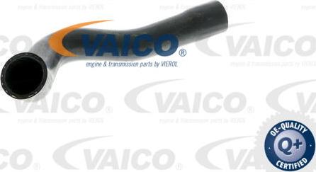 VAICO V20-0148 - Radiator şlanqı furqanavto.az