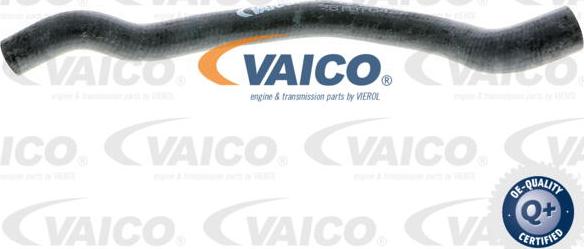 VAICO V20-1648 - Radiator şlanqı furqanavto.az