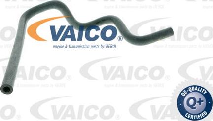 VAICO V20-1610 - Radiator şlanqı furqanavto.az