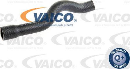 VAICO V20-1611 - Radiator şlanqı furqanavto.az