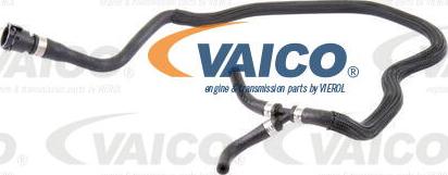 VAICO V20-1683 - Radiator şlanqı furqanavto.az
