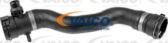 VAICO V20-1027 - Radiator şlanqı furqanavto.az