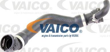 VAICO V20-1330 - Radiator şlanqı www.furqanavto.az