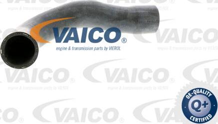 VAICO V20-1241 - Radiator şlanqı www.furqanavto.az