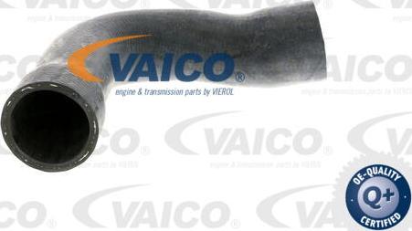 VAICO V20-1250 - Radiator şlanqı furqanavto.az