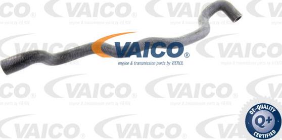 VAICO V20-1253 - Radiator şlanqı furqanavto.az