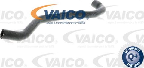 VAICO V20-1747 - Radiator şlanqı furqanavto.az