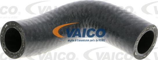 VAICO V20-1769 - Radiator şlanqı furqanavto.az