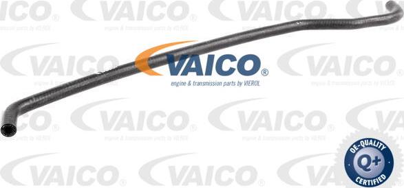VAICO V20-1779 - Radiator şlanqı furqanavto.az
