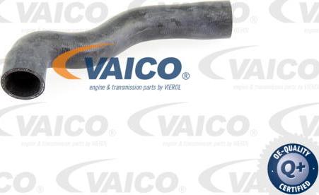 VAICO V20-1776 - Radiator şlanqı furqanavto.az