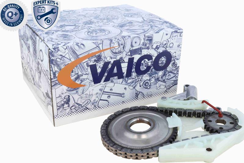 VAICO V20-3812 - Zəncir dəsti, yağ nasosunun sürücüsü furqanavto.az