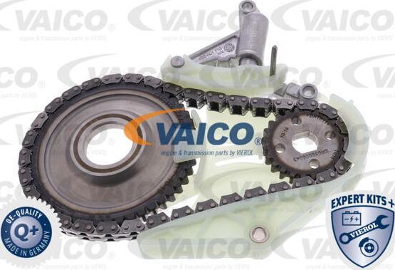 VAICO V20-3812 - Zəncir dəsti, yağ nasosunun sürücüsü furqanavto.az