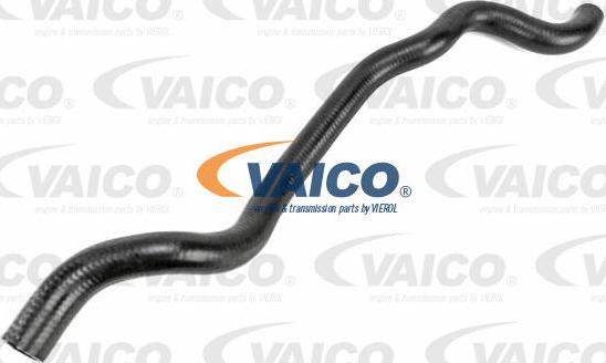 VAICO V20-3889 - Radiator şlanqı furqanavto.az